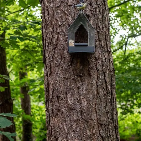 بيت للعطل Het Uilennest أوتيرلو