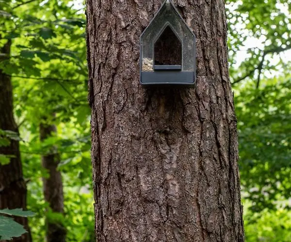 Holiday home Het Uilennest Otterlo